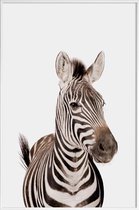 JUNIQE - Poster met kunststof lijst Zebra -13x18 /Wit & Zwart