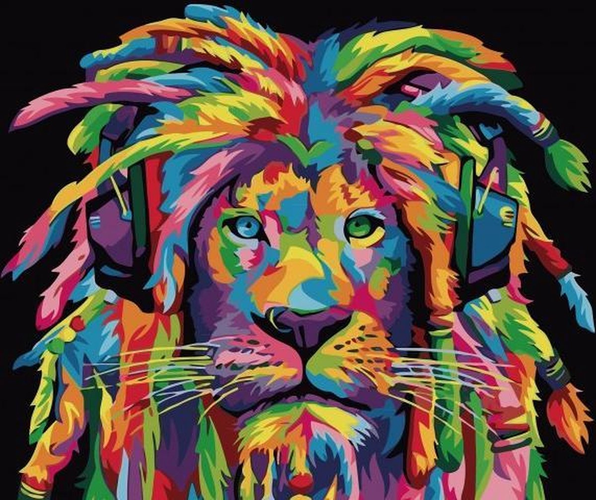 Lion coloré - Peinture par numéro 50x40cm avec cadre