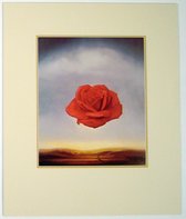 Poster in dubbel passe-partout - Salvador Dali - Rose Meditative - 50 x 60 cm