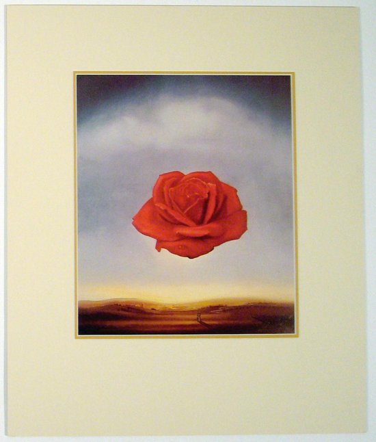 Poster in dubbel passe-partout - Salvador Dali - Rose Meditative - 50 x 60 cm