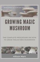 Growing Magic Mushroom