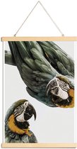 JUNIQE - Posterhanger Parkieten -30x45 /Groen