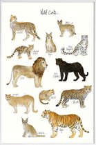 JUNIQE - Poster in kunststof lijst Wilde katten illustratie -30x45