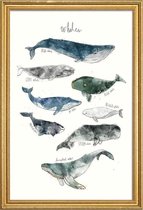 JUNIQE - Poster met houten lijst Walvissen illustratie -40x60 /Blauw &