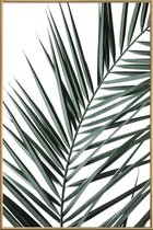 JUNIQE - Poster met kunststof lijst Phoenix -30x45 /Groen & Wit
