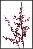 JUNIQE - Poster in kunststof lijst Red Berries 2 -40x60 /Rood & Wit