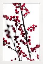 JUNIQE - Poster in houten lijst Red Berries 1 -20x30 /Rood & Wit