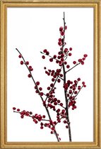 JUNIQE - Poster met houten lijst Red Berries 2 -40x60 /Rood & Wit