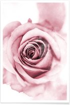 JUNIQE - Poster Roze pioenroosblaadjes -40x60 /Roze & Wit