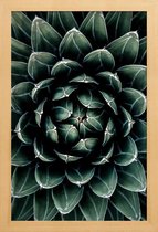 JUNIQE - Poster in houten lijst Cactus hart -40x60 /Groen