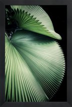 JUNIQE - Poster in houten lijst Sharp Palm -60x90 /Groen