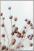 JUNIQE - Poster met kunststof lijst Poppy Heads -30x45 /Bruin & Ivoor
