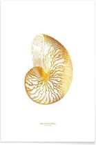 JUNIQE - Poster Nautilus Shell gouden -20x30 /Goud & Wit