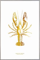 JUNIQE - Poster met kunststof lijst American Lobster gouden -40x60