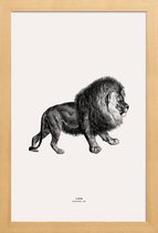 JUNIQE - Poster met houten lijst Lion -13x18 /Grijs & Ivoor