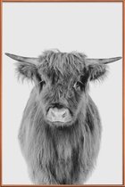 JUNIQE - Poster met kunststof lijst Young Highland Cow Classic -40x60