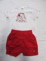 dirkje, kledingset , tshirt + shortje meisje, wit / rood 80 - 12 maand