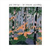 Will Stratton - The Changing Wilderness (LP)