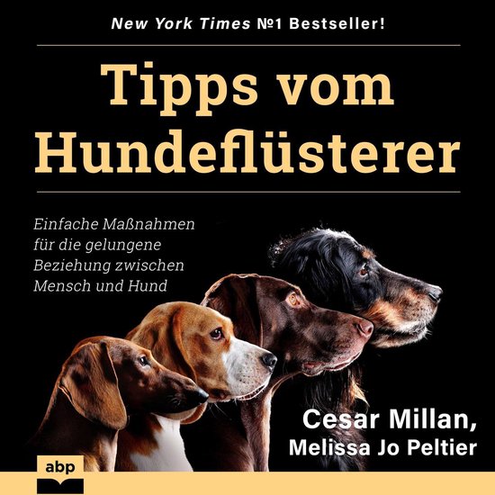 Tipps vom Hundeflüsterer - Einfache Maßnahmen für die gel ... - cover