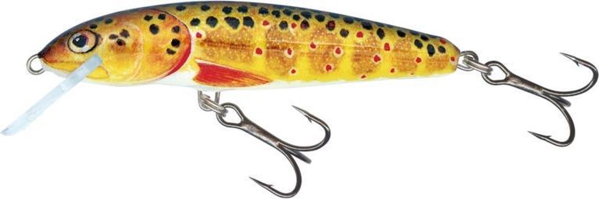 Salmo Minnow 9F - 9cm - 10 gram floating orange trout