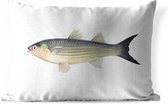 Buitenkussens - Tuin - Goudharder vis op een witte achtergrond - 50x30 cm