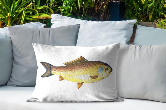Coussins d'extérieur - Jardin - Poisson giebel doré sur fond blanc - 60x40 cm