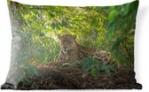 Buitenkussens - Tuin - Jaguar in de jungle - 50x30 cm