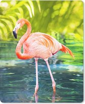 Muismat - Mousepad - Flamingo in de natuur van Florida - 30x40 cm