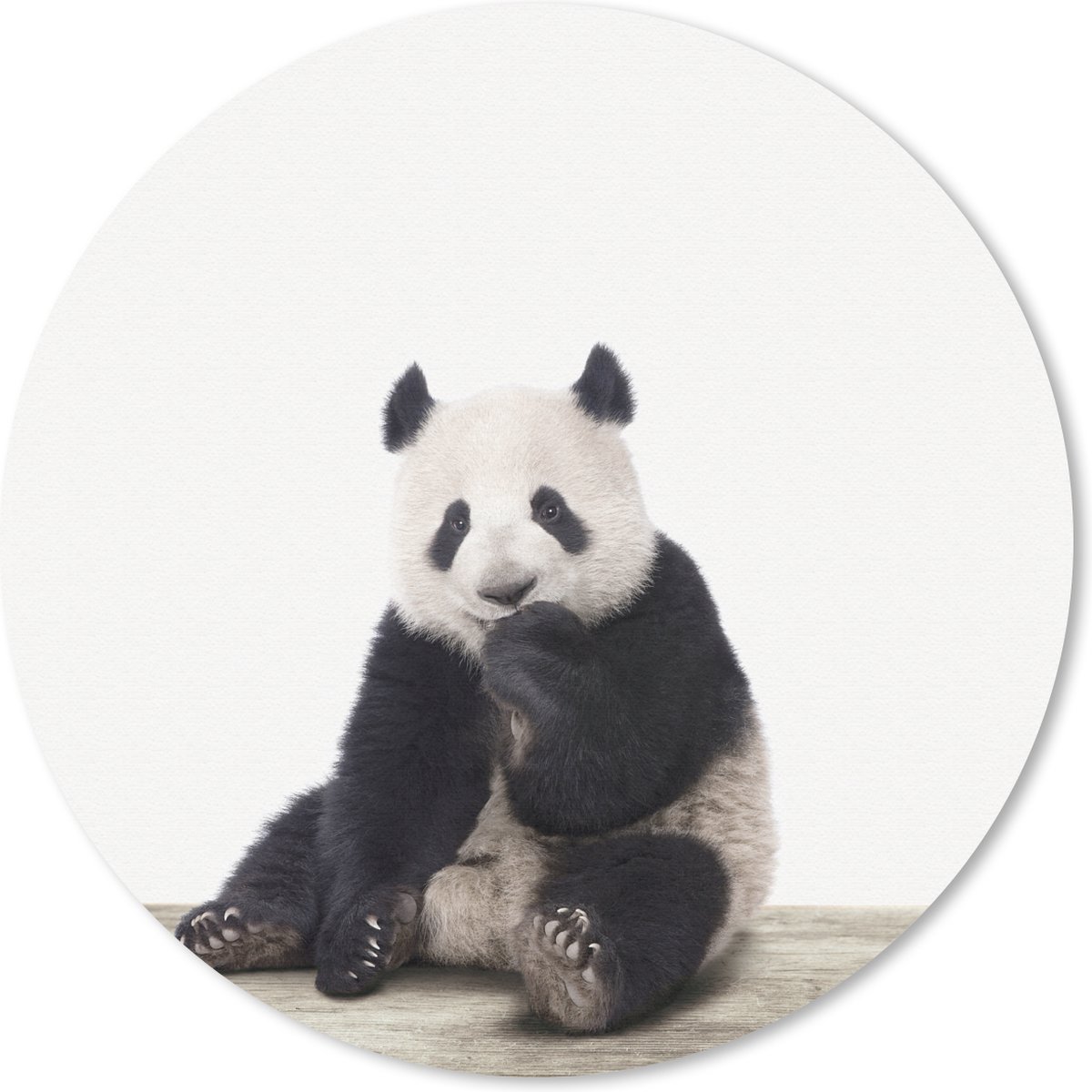 Muismat Animalprintshop - Panda dierenprint Muismat rond - 30x30 cm - Muismat met foto