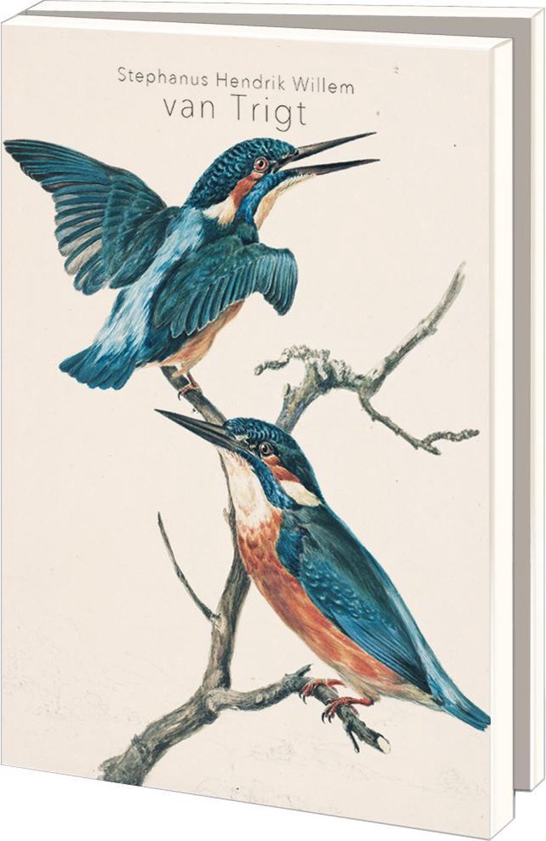 Bekking & Blitz - Wenskaartenmapje - Set wenskaarten - Kunstkaarten - Museumkaarten - Uniek design - Dieren - Vogels - 10 stuks - Inclusief enveloppen - Stephanus Hendrik Willem van Trigt - Teylers Museum Haarlem