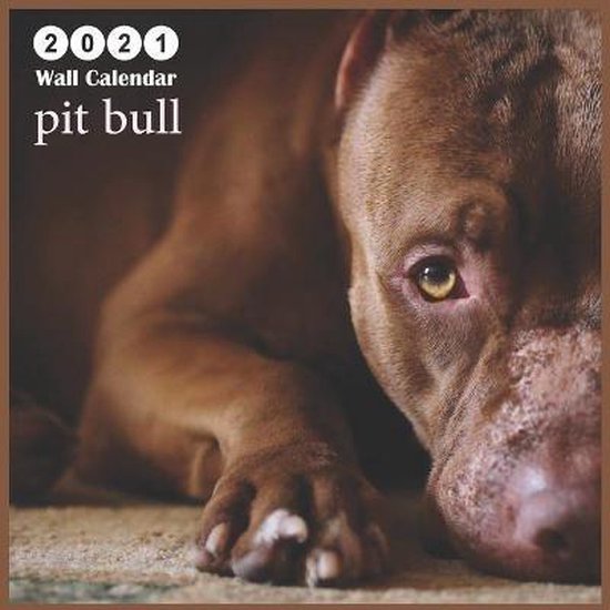 pit bull, Calendar 2021 Pub Print 9798679834347 Boeken