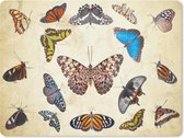 Muismat Vlinders - Botanische print vlinders muismat rubber - 23x19 cm - Muismat met foto