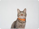 Muismat Katten - Kat met halsband muismat rubber - 40x30 cm - Muismat met foto