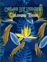 Color By Number Coloring Book