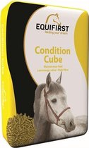 Equifirst condition cube - 20 kg - 1 stuks