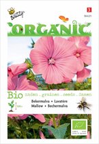 Buzzy� Organic Lavatera trimestris rose/rood (BIO)