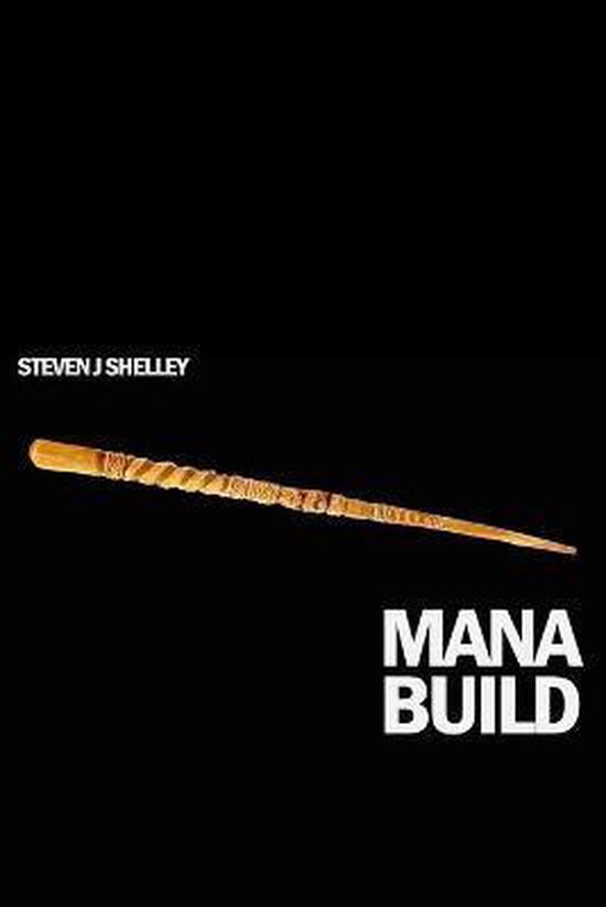 Strength Build- Mana Build - cover