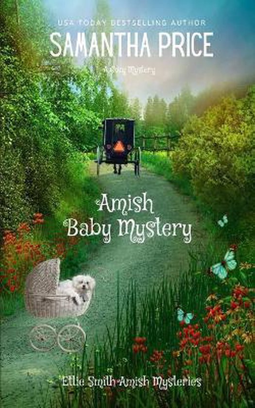 Amish Baby Mystery - cover
