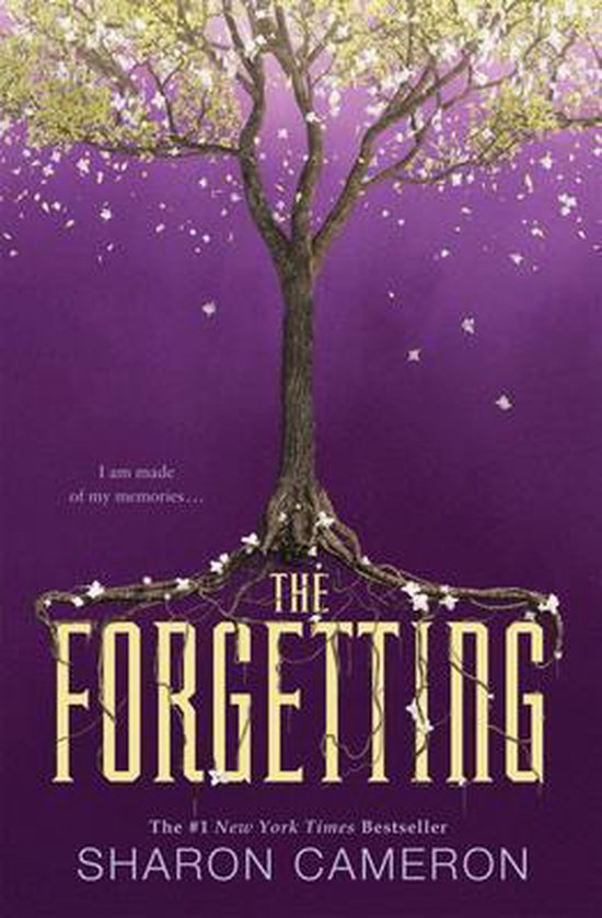 The Forgetting - cover