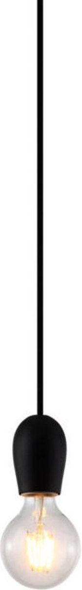 Fantasia hanglamp Kobar - Zwart - Dimbaar - Inclusief E27 LED lamp - Dia 10cm