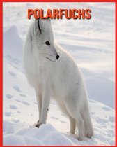 Polarfuchs