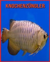 Knochenzungler