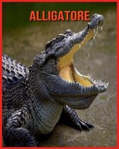 Alligatore