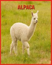 Alpaca