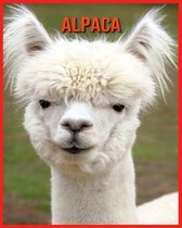 Alpaca