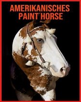 Amerikanisches Paint Horse