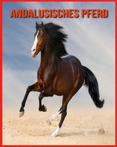 Andalusisches Pferd