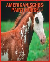 Amerikanisches Paint Horse