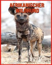 Afrikanischer Wildhund