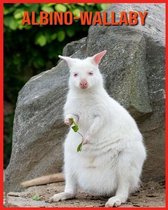 Albino-Wallaby